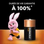 DURACELL Piles alcalines D Plus 100%, 1,5V LR20 MN1300, lot de 2 piles – Image 2