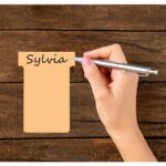 NOBO Etui de 100 Fiches T Indice 2 - Beige - 2002011 – Image 4