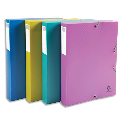 449250_d1.jpg EXACOMPTA Boîte de classement FOREVER YOUNG dos 4cm PP recyclé 7/10e. Coloris assortis fun – Image 1