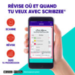 OXFORD Sachet de 32 fiches BRISTOL REVISION OXFORD 2.0 non perforées A6 250g 5x5 Blanc