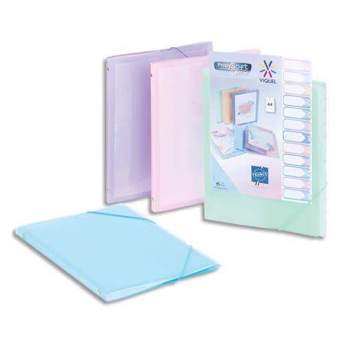 450551_d1.jpg VIQUEL Trieur PROPYSOFT 12 positions en polypropylène 5/10ème. Fermeture par élastique. Coloris assortis – Image 1