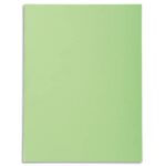 EXACOMPTA Paquet de 50 chemises FOREVER en carte 170g. Coloris vert