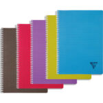 CLAIREFONTAINE Cahier Linicolor spirale PP 100 pages 5x5 format 21x29,7cm. Coloris assortis Intensive