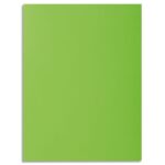 EXACOMPTA Paquet de 30 sous-chemises ROCK'S en carte 80 grammes coloris vert