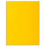 EXACOMPTA Paquet de 30 sous-chemises ROCK'S en carte 80 grammes coloris jaune