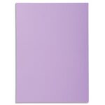 EXACOMPTA Paquet de 100 sous-chemises SUPER 60 en carte 60 grammes coloris lilas