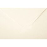 CLAIREFONTAINE Etui de 25 feuilles 210g POLLEN 21x29,7cm. Coloris Ivoire