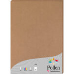 CLAIREFONTAINE Etui de 25 feuilles 210g POLLEN 21x29,7cm. Coloris Kraft