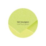 CLAIREFONTAINE Etui de 25 feuilles 210g POLLEN 21x29,7cm. Coloris Vert – Image 3