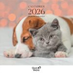 QUO VADIS FANTAISIE 30x30cm Spiralé 12 moi janvier-décembre 200g