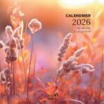 QUO VADIS FANTAISIE 30x30cm Spiralé 12 moi janvier-décembre 200g