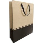 Paquet de 10 sacs bouteille séduction 270+95x385mm – 3 Bouteilles 38A3942