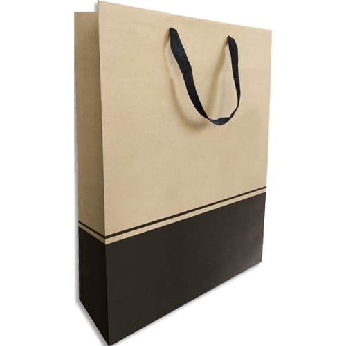 480486_d1-1.jpg Paquet de 10 sacs bouteille séduction 270+95x385mm – 3 Bouteilles 38A3942 – Image 1