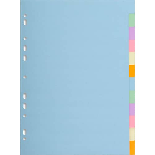 480594_d1.jpg EXACOMPTA Jeu d'intercalaires 12 positions en carte recyclée pastel FOREVER 170g. – Image 1