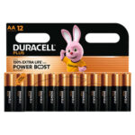 DURACELL Piles alcalines AA LR6 Plus, 1,5V lot de 12 piles 5019132