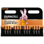 DURACELL Piles alcalines AAA LR03 Plus, 1,5V lot de 12 piles 5019151