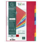 EXACOMPTA Intercalaire 10 positions en carte lustrée 3/10ème 225g, format A4 – Image 3