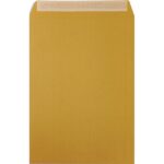 PERGAMY Boîte de 250 pochettes kraft Brun 90g C4 229x324 mm auto-adhésives