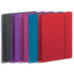 OXFORD Agenda My Fab Janvier à Décembre 1S/2P grille Like Work SCRIBZEE - Format 15 x 21 cm couv ass