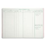 LE DAUPHIN Piqûre registre des mouvements de titres 29,7 x 21 cm vertical 40 pages 5 colonnes