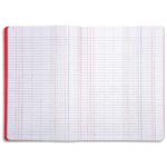 LE DAUPHIN Piqûre coloris assortis 22,5 x 34 cm quadrillé 5x5 numéroté 80 pages