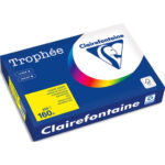 CLAIREFONTAINE Ramette de 250 feuilles papier couleur TROPHEE 160 grammes format A4 Jaune soleil 1029