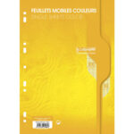 CALLIGRAPHE Copies simples Jaune perf 2 trous 80g 100pages grands carreaux Seyès format A4. Film-CAL 7000