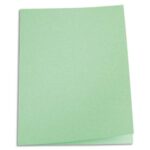 PERGAMY Paquet de 100 chemises carte 170 grammes coloris Vert