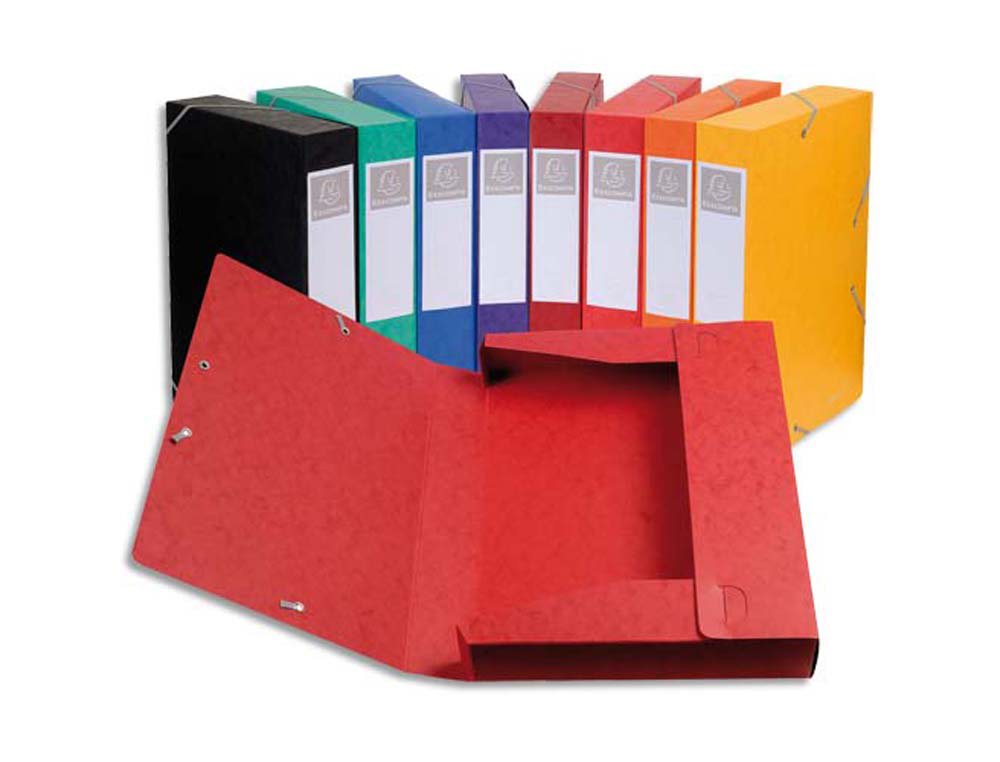 Boîte classement exacompta nature future carte lustrée 7/10e a4+ 240x320mm dos 40mm 600g coloris assortis 10 unités