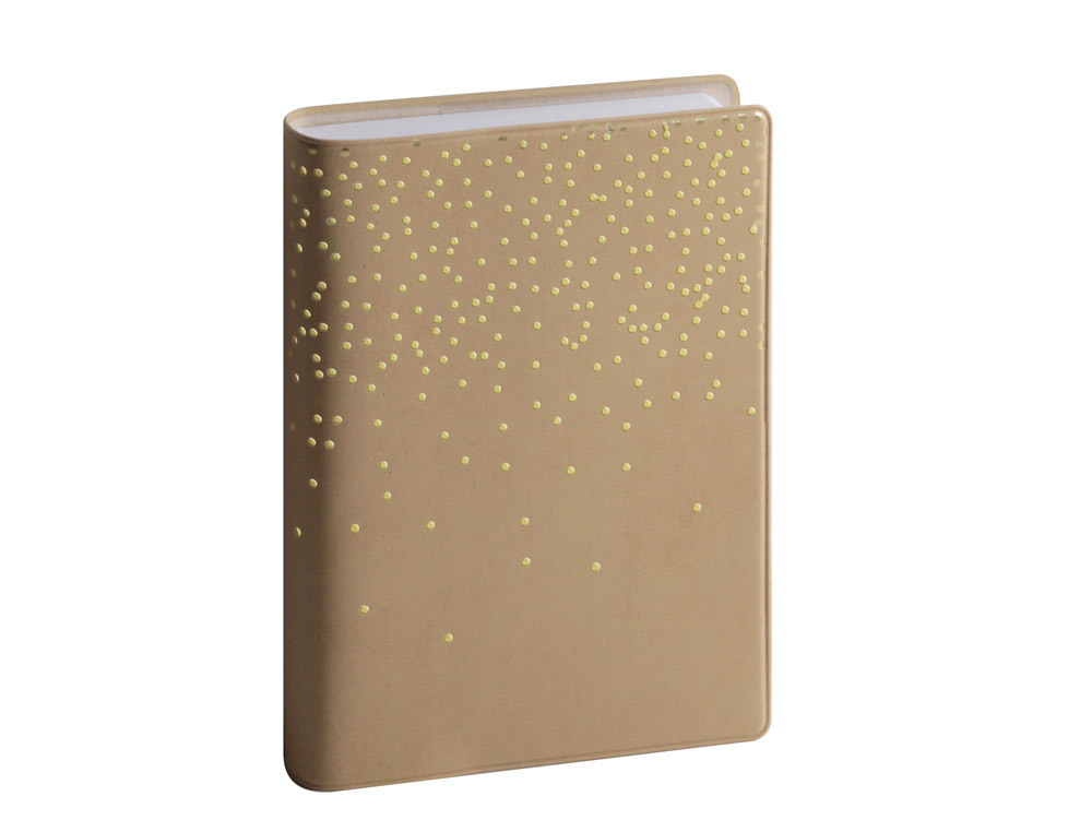 Agenda exacompta amelie 1 jour sur une page avec        horaire dim. 130x85 mm        assorti