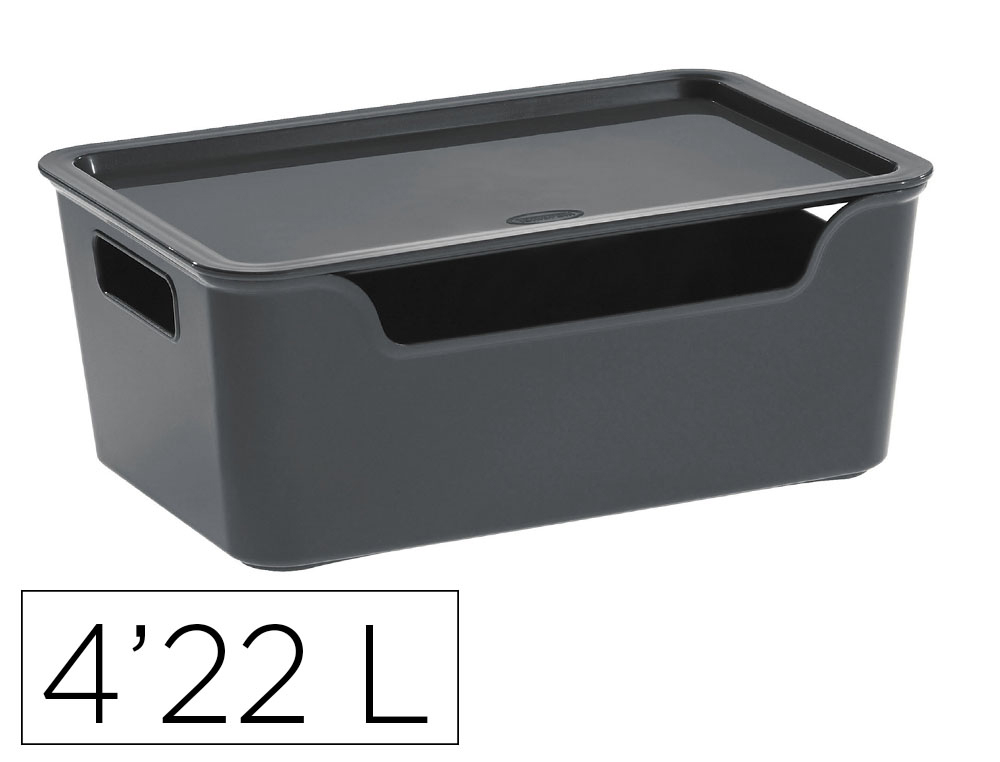 Boite multirangement cep bella pp couvercle et         poignees contenance 4,22l     coloris gris