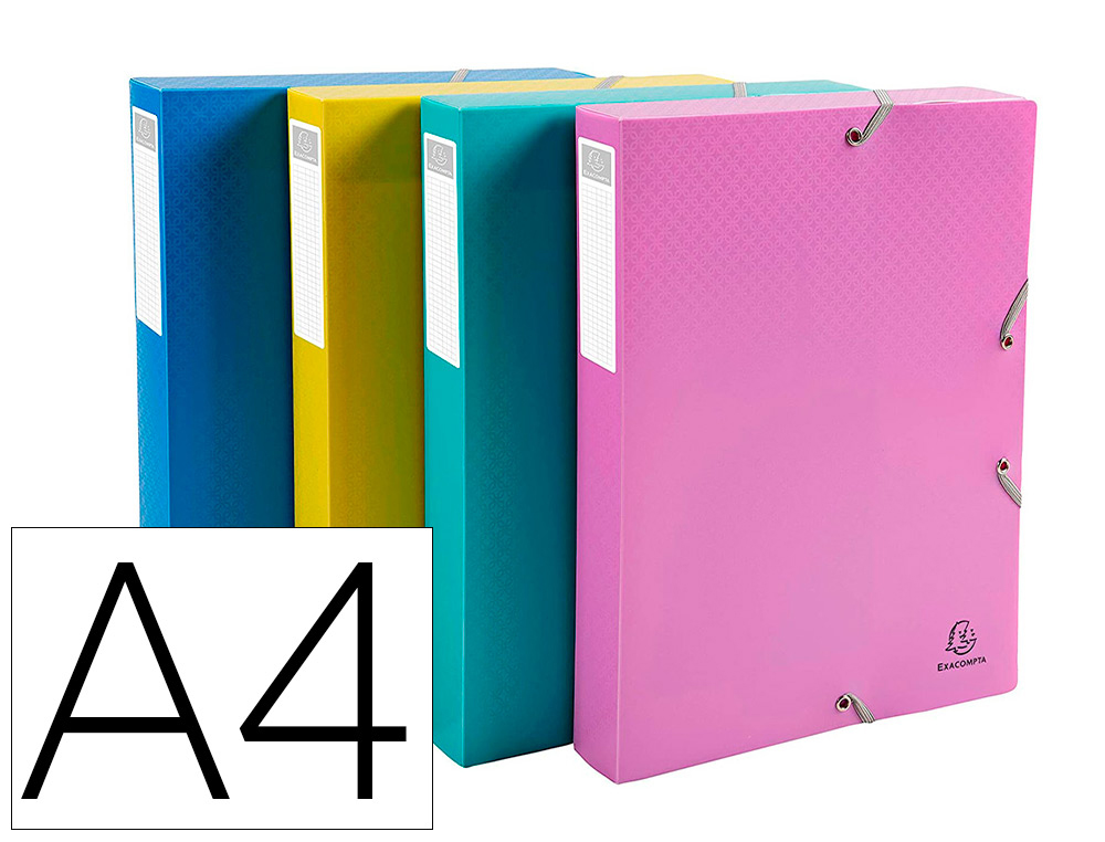 Boite de classement exacompta forever young a4              polypropylene dos 40mm