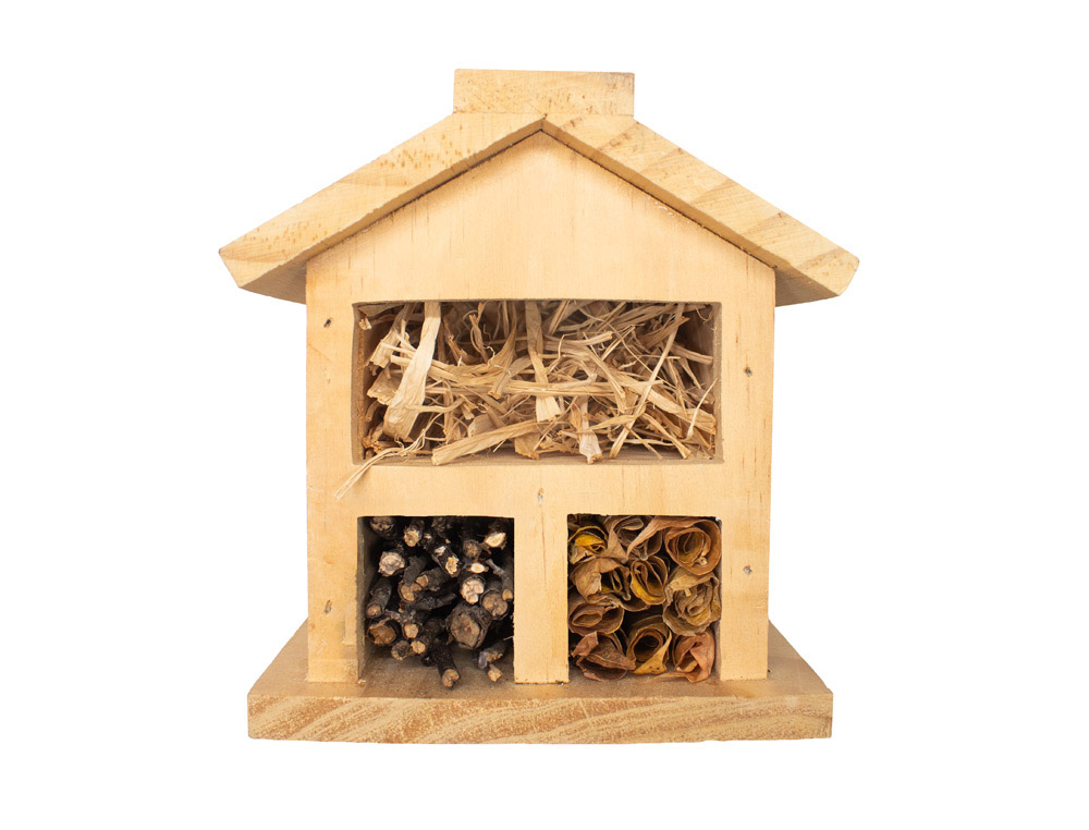 Kit hètel   insectes + colle - 19 x 13 x 27 cm - 1 pc - 1  coloris