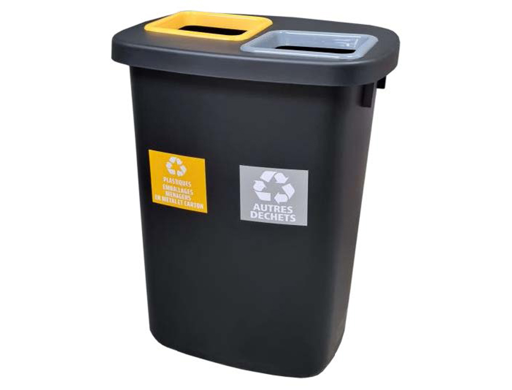 Poubelle coldis atrium duo 2 seaux 45l coloris noir