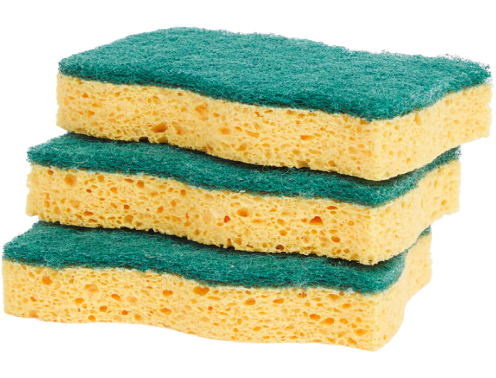 Eponge abrasive verte 11x7cm sachet 10 unites