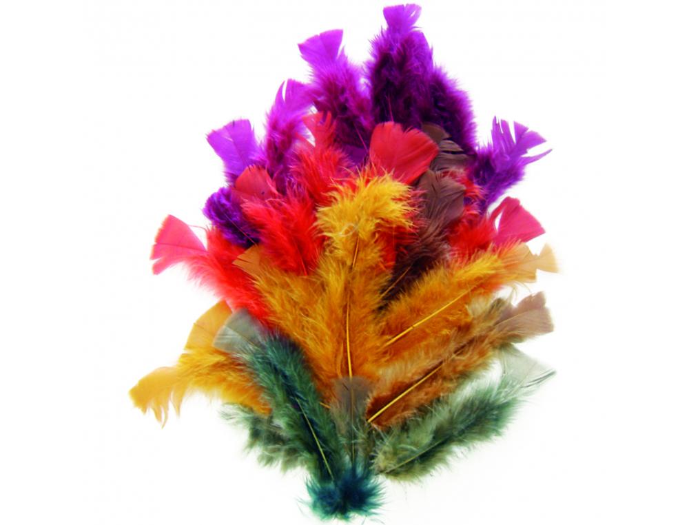 Plumes automne graine creative sachet de 25g 200    unites