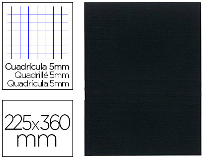 Registre standard exacompta 250x320mm 5x5mm folioté vertical 200 pages