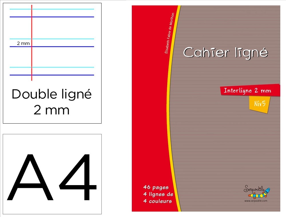 Cahier hamelin serpodile 21x29.7 cm a4 48 pages double ligne 2mm avec marge niveau 5