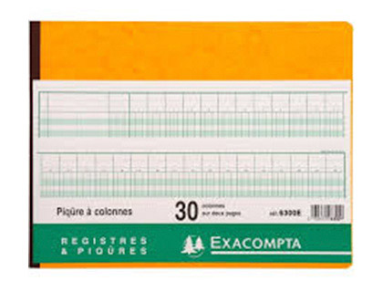 Registre piqûre exacompta colonnes 320x250mm 31 lignes 30 colonnes/2 pages 80 pages