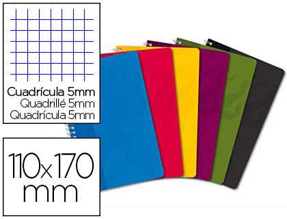 Carnet oxford reliure intégrale couverture pelliculée lavable souple 11x17cm 180 pages 90g 5x5mm coloris assortis