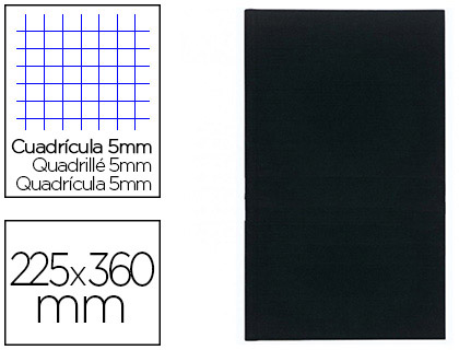 Registre standard exacompta 225x360mm 5x5mm folioté vertical 200 pages