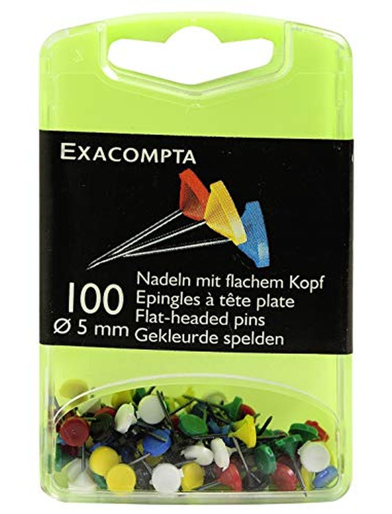 Bte 100epingle tete plate ass