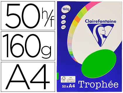 Papier couleur clairefontaine trophée personal paper pack a4 160g/m2 vert menthe 50 feuilles couleurs intenses
