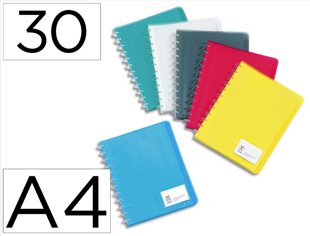 Protège-documents viquel propyglass géode semi-rigide 30 pochettes 60 vues document a4 coloris assortis