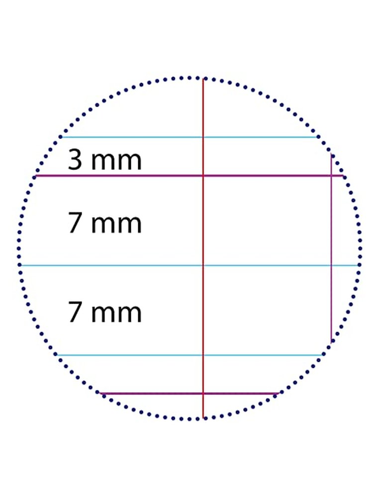 Cahier clairefontaine maternelle couverture carte offset 17x22cm 32 pages 16 double ligne 3mm/16 unies 90g bleu