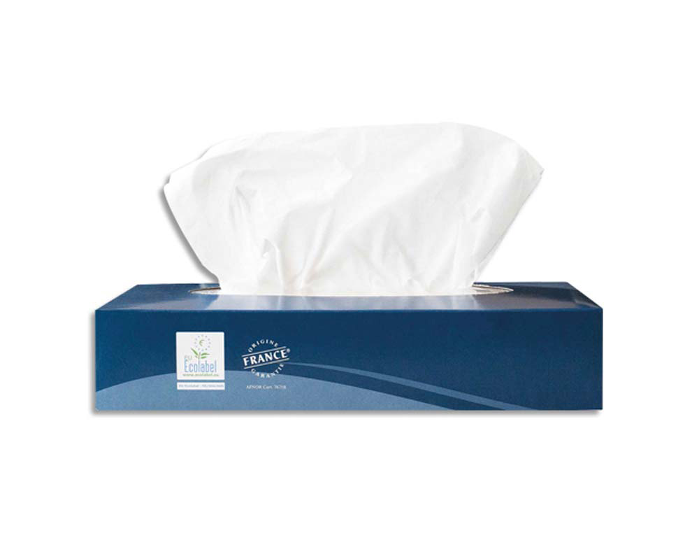 Mouchoirs blancs 2 plis 100 feuilles format 19,7 x 20 cm boîte 100