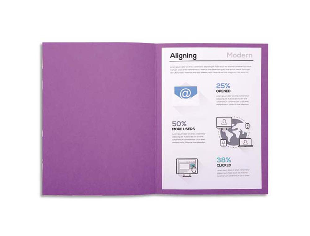 Chemise exacompta standard 24x32cm 220g a4 21x29,7cm coloris lilas pack 100 unités