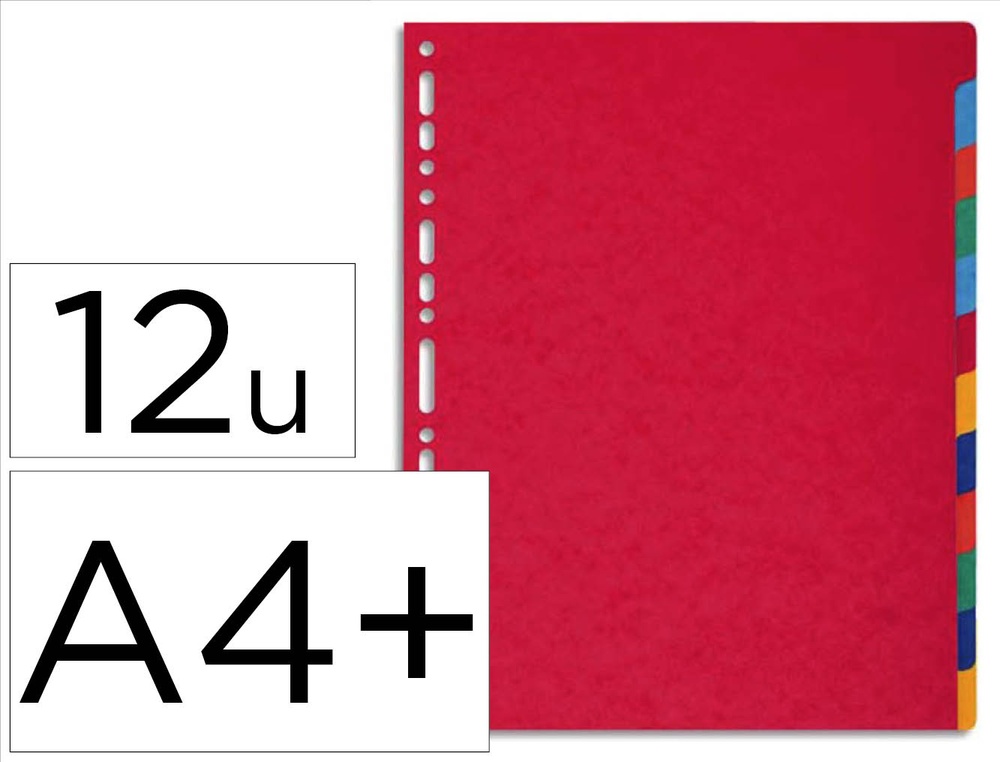 Intercalaires exacompta carte lustrée rigide format a4+ 24,5x29,7cm 12 positions coloris assortis