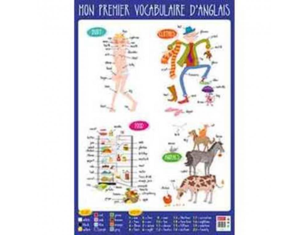 Poster bouchut grandrémy anglais 52x76cm 150g pelliculé effaçable à sec