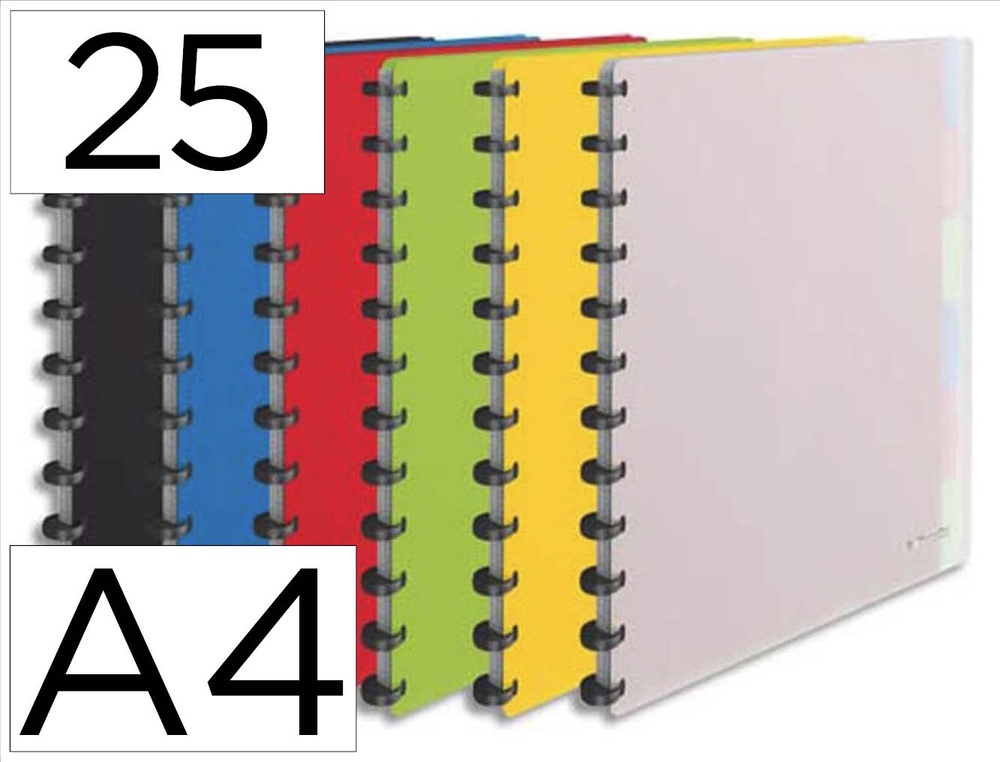 Protège-documents esselte polypropylène vivida 25 pochettes amovibles 264x310x21mm coloris assortis translucide